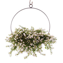 Load image into Gallery viewer, Rhuddlan Metal Hanging Planter

