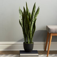 Load image into Gallery viewer, Sycamore Faux Foliage Plant in Wood Planter
