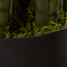 Load image into Gallery viewer, Sycamore Faux Foliage Plant in Wood Planter
