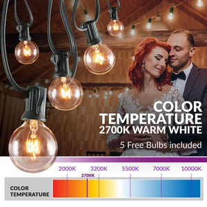Outdoor Plug-in 25 - Bulb Globe String Light