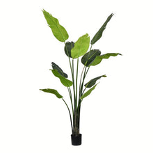 Load image into Gallery viewer, Vickerman 6&#39; Artificial Potted Travellers Palm Tree.
