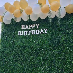 1.5 ft. H x 1.5 ft. W Artificial Wall Hedge Polyethylene Privacy Screen (Set of 12)