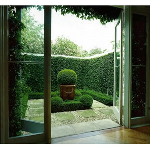 1.5 ft. H x 1.5 ft. W Artificial Wall Hedge Polyethylene Privacy Screen (Set of 12)