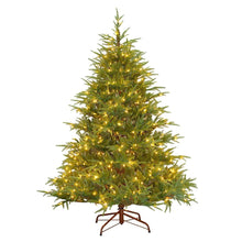Load image into Gallery viewer, National Tree Company  6.5-ft Frasier Fir Pre-lit Traditional Artificial Christmas Tree with Incandescent Lights
