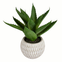 Load image into Gallery viewer, 11&quot; Artificial Succulent in Pot GL55
