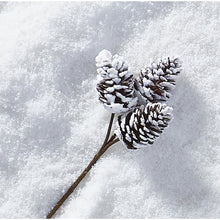Load image into Gallery viewer, 12&quot; Snowy Pinecone Pick Set of 6 #2561HW
