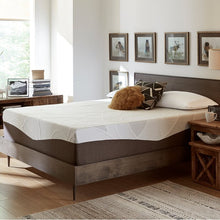 Load image into Gallery viewer, 14&quot; Queen Medium Gel Memory Foam Mattress (SB1269)
