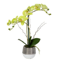 Load image into Gallery viewer, 19.5&quot; Indoor Artificial Green Phalaenopsis - Real Touch - Metal Pot - Premium Durable Plastic And Metal Arrangement - Maintenance Free
