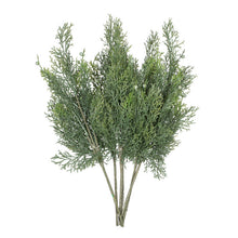 Load image into Gallery viewer, 18&#39;&#39; Faux Cedar Spray (Set of 12)
