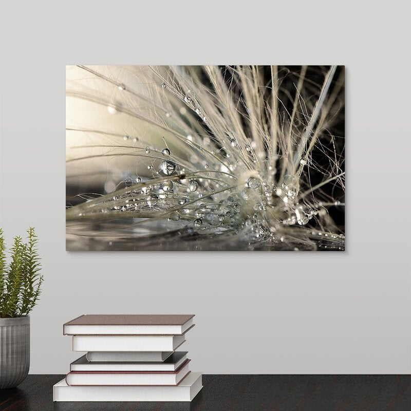 1X Photography Maryam Zahirimehr - Photograph MRM3823