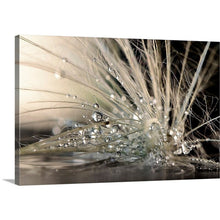Load image into Gallery viewer, 1X Photography Maryam Zahirimehr - Photograph MRM3823
