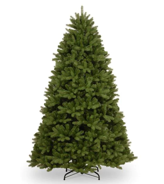 7.5 ft. Newberry Spruce Tree