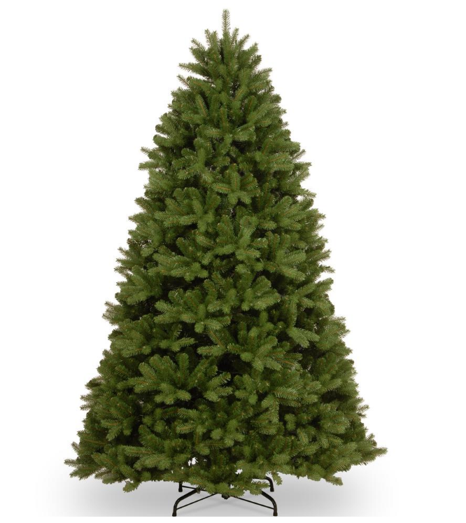 7.5 ft. Newberry Spruce Tree