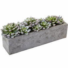 Load image into Gallery viewer, 2.25&quot; Artificial Succulent in Planter #1940HW
