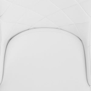 Devo Side Chair, set of 2 in White
