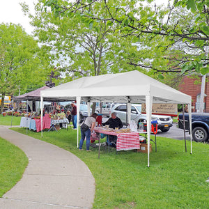 20 Ft. W x 10 Ft. D Steel Canopy With Removable Side Walls