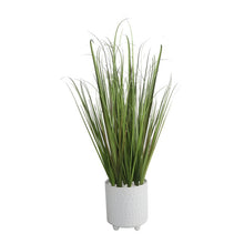 Load image into Gallery viewer, 21.75&#39;&#39; Artificial Onion Grass in Pot GL740
