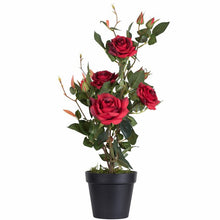 Load image into Gallery viewer, 21&quot; Artificial Red Rose Plant in Pot
