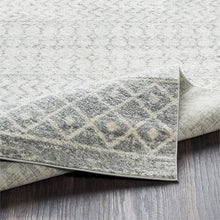 Load image into Gallery viewer, Elaziz 10' Square Rug  MRM3387

