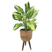 Load image into Gallery viewer, 22&quot; Artificial Foliage Plant In Basket 837AH
