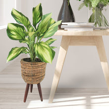 Load image into Gallery viewer, 22&quot; Artificial Foliage Plant In Basket 837AH
