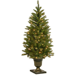 4 ft. Pre-Lit Potted Dunhill® Fir Artificial Entrance Christmas Tree, Clear Lights MH21