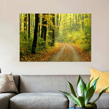 Load image into Gallery viewer, 26&quot; H x 40&quot; W x 0.75&quot; D Black;White;Corn;Earls Green;Celery &#39;Autumn Forest Landscape Michigan USA&#39; Photographic Print on Canvas 577AH

