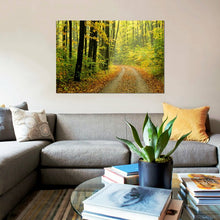 Load image into Gallery viewer, 26&quot; H x 40&quot; W x 0.75&quot; D Black;White;Corn;Earls Green;Celery &#39;Autumn Forest Landscape Michigan USA&#39; Photographic Print on Canvas 577AH

