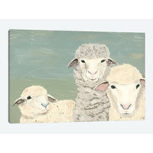 Load image into Gallery viewer, &#39;Bashful Sheep II&#39; Print on Canvas 12&quot; H x 18&quot; W x 0.75&quot; D #861HW
