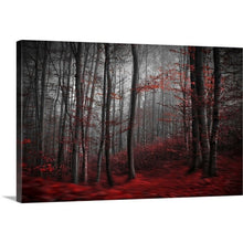 Load image into Gallery viewer, Black; Red &#39;Bloody River&#39; Graphic Art Print 8029
