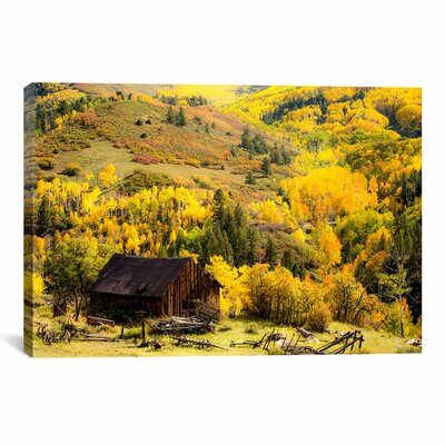 'Fall Pallet' by Dan Ballard Photographic Print on Canvas