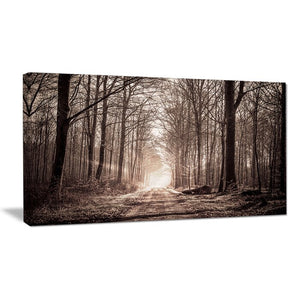 'Forest Trail in Sepia' Wrapped Canvas Photographic Print on Canvas (SB883)