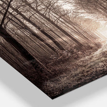 Load image into Gallery viewer, &#39;Forest Trail in Sepia&#39; Wrapped Canvas Photographic Print on Canvas (SB883)
