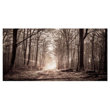 Load image into Gallery viewer, &#39;Forest Trail in Sepia&#39; Wrapped Canvas Photographic Print on Canvas (SB883)
