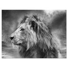 Load image into Gallery viewer, 'Gray Wild African Lion' Graphic Art Print 3980RR
