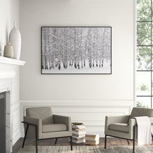 Load image into Gallery viewer, &#39;Grove of Aspen Trees in Winter&#39; Framed Photographic Print on Canvas #1255HW
