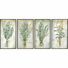 Load image into Gallery viewer, &#39;Herbs&#39; by Vassileva - 4 Piece Picture Frame Graphic Art Print Set on Paper #847HW
