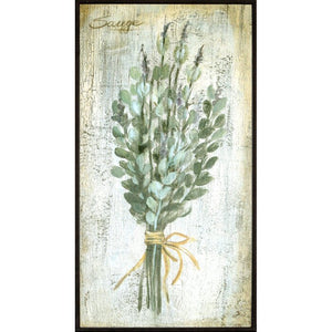 'Herbs' by Vassileva - 4 Piece Picture Frame Graphic Art Print Set on Paper #847HW