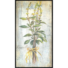 Load image into Gallery viewer, &#39;Herbs&#39; by Vassileva - 4 Piece Picture Frame Graphic Art Print Set on Paper #847HW

