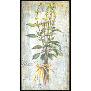'Herbs' by Vassileva - 4 Piece Picture Frame Graphic Art Print Set on Paper #847HW