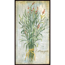 Load image into Gallery viewer, &#39;Herbs&#39; by Vassileva - 4 Piece Picture Frame Graphic Art Print Set on Paper #847HW

