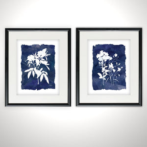 'Indigo Botanical' - 2 Piece Picture Frame Print Set on Paper #AD214