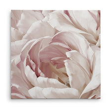 Load image into Gallery viewer, 'Intimate Blush Il' Oil Painting Print on Wrapped Canvas GL707

