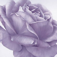 Load image into Gallery viewer, Magnificence I Graphic Art Print on Canvas (18&quot; x 18&quot;) #9591
