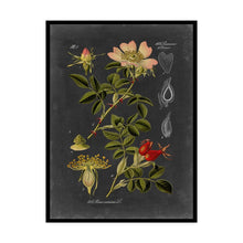 Load image into Gallery viewer, &#39;Midnight Botanical I&#39; Graphic Art Print on Wrapped Canvas #ND1064
