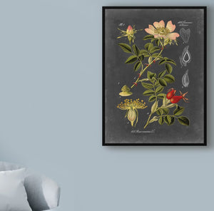 'Midnight Botanical I' Graphic Art Print on Wrapped Canvas #ND1064