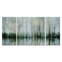 Load image into Gallery viewer, 40&quot; H x 80&quot; W x 1.5&quot; D Gray &#39;Mirrored Pond&#39; Multi-Piece Image on Wrapped Canvas #927HW
