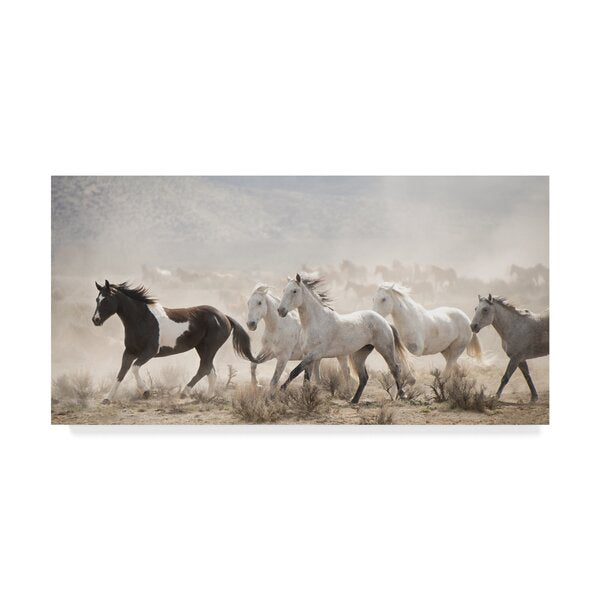 'Open Range' Photographic Print on Wrapped Canvas(2712RR)