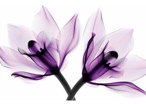'Orchids I' Graphic Art Print on Canvas - 322CE