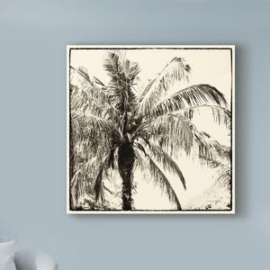 'Palm Tree Sepia III' Graphic Art Print on Wrapped Canvas 24" x 24" #1955HW